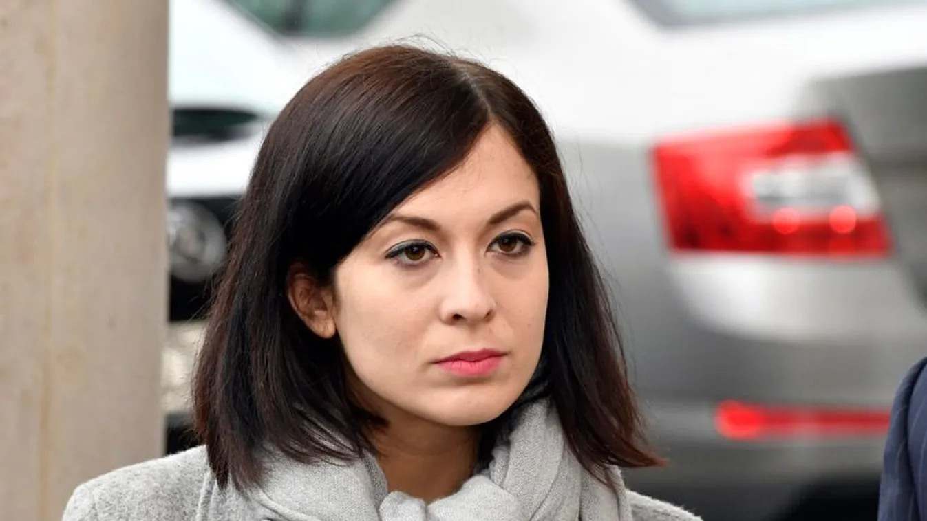 Alapjogokért Központ: Tovább akciózik a dollárbaloldal Brüsszelben