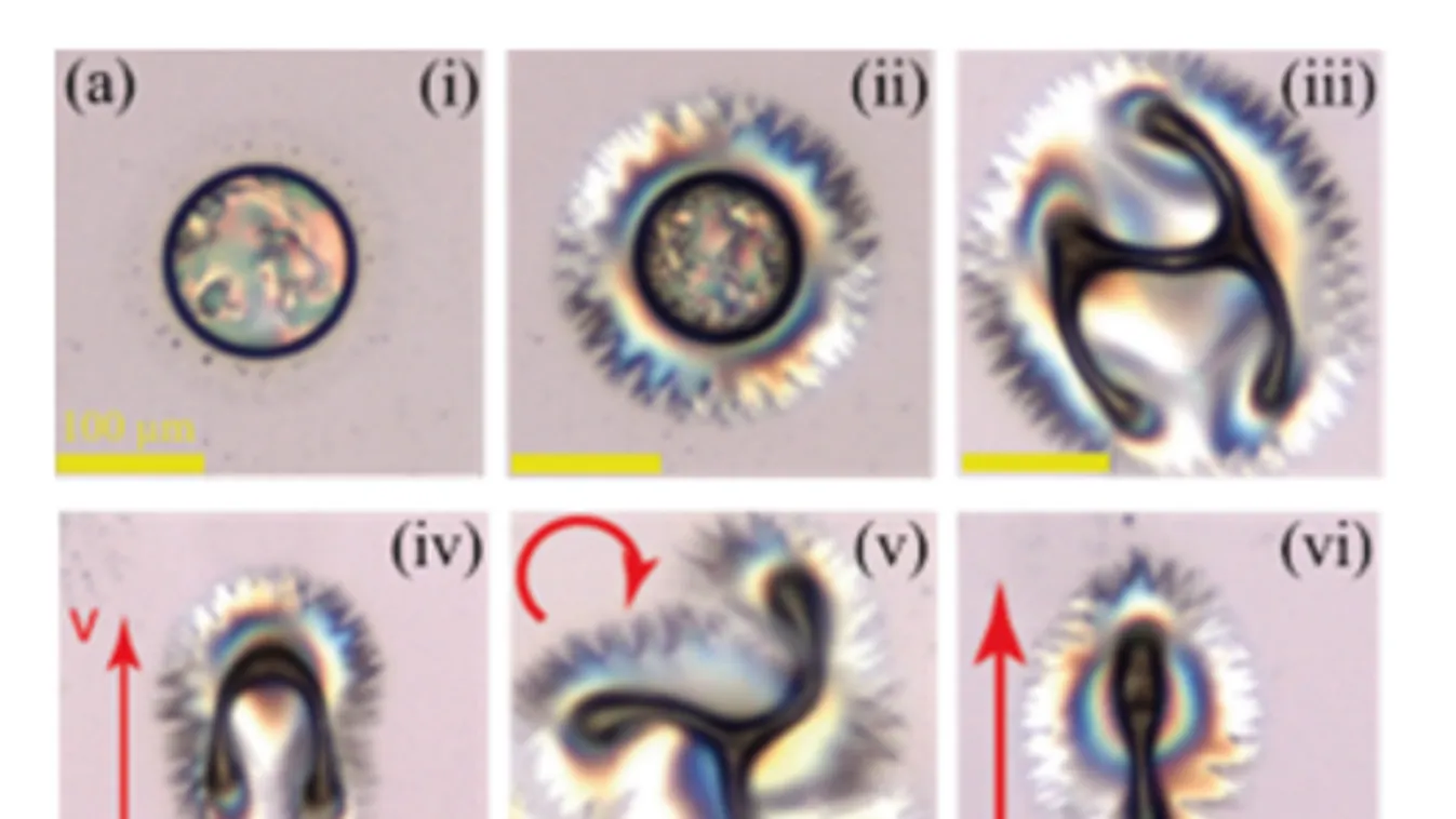 Forradalmi felfedezést tettek a magyar kutatók, megváltozhat, amit eddig a fizikáról tudtunk
