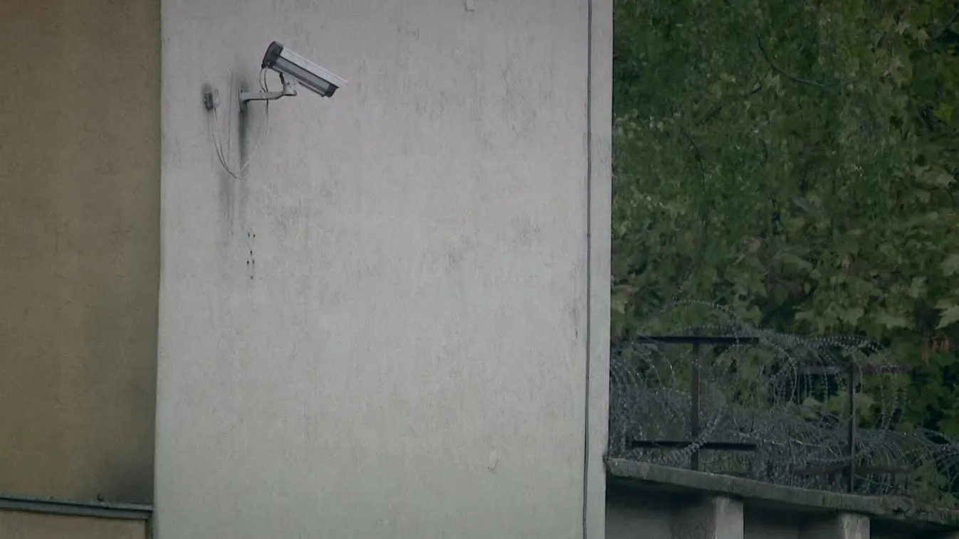 Célpont – Íme, ők a habzó szájú „zsoltibácsizók”