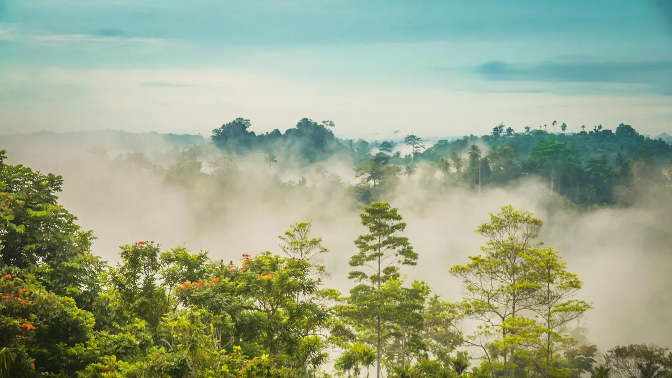Túszul ejtettek egy ausztrál egyetemi tanárt Pápua Új-Guinea hegyvidékén