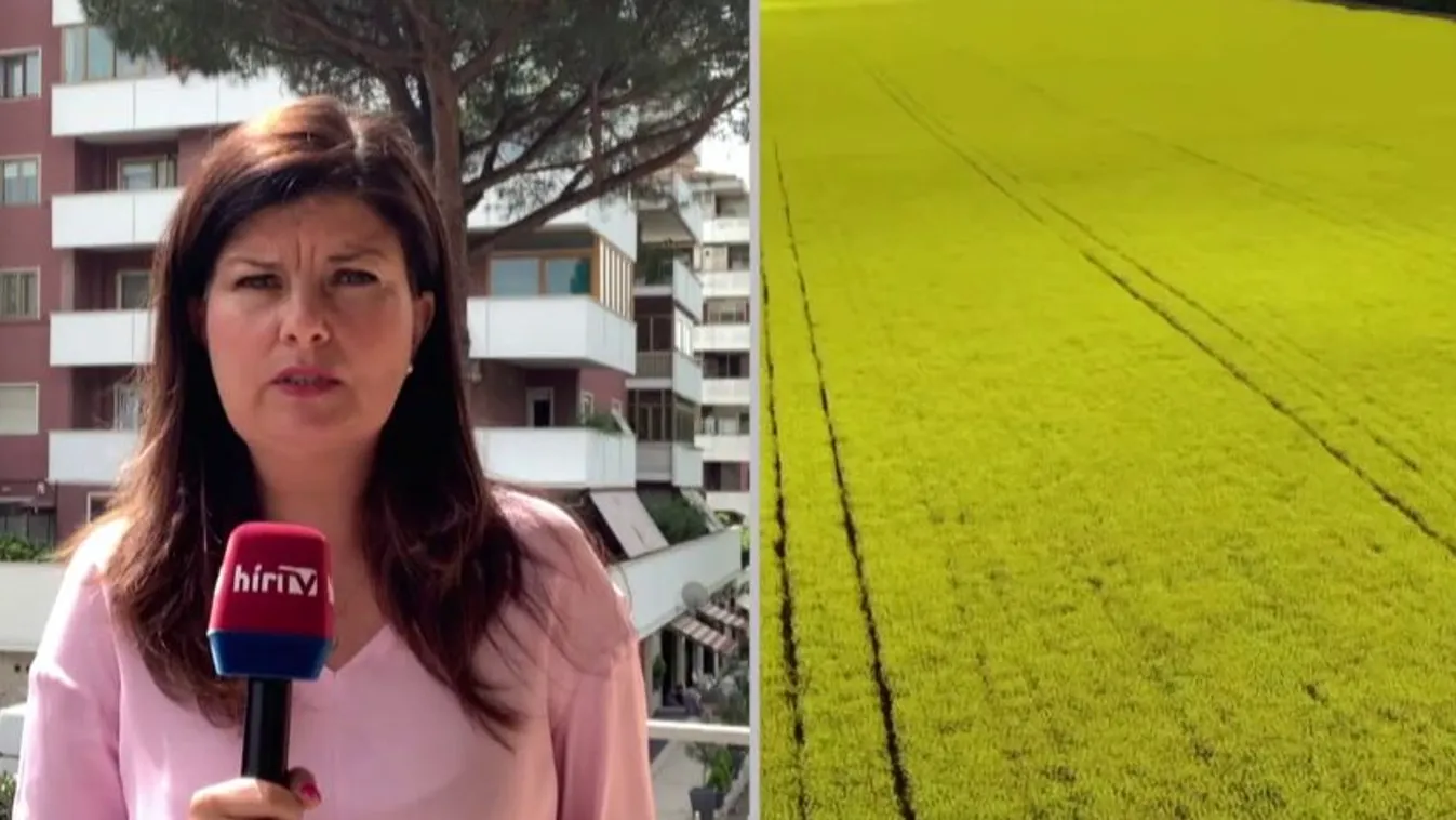 Élelmiszerválság: az orosz elnök közbenjárását kérte az olasz kormányfő