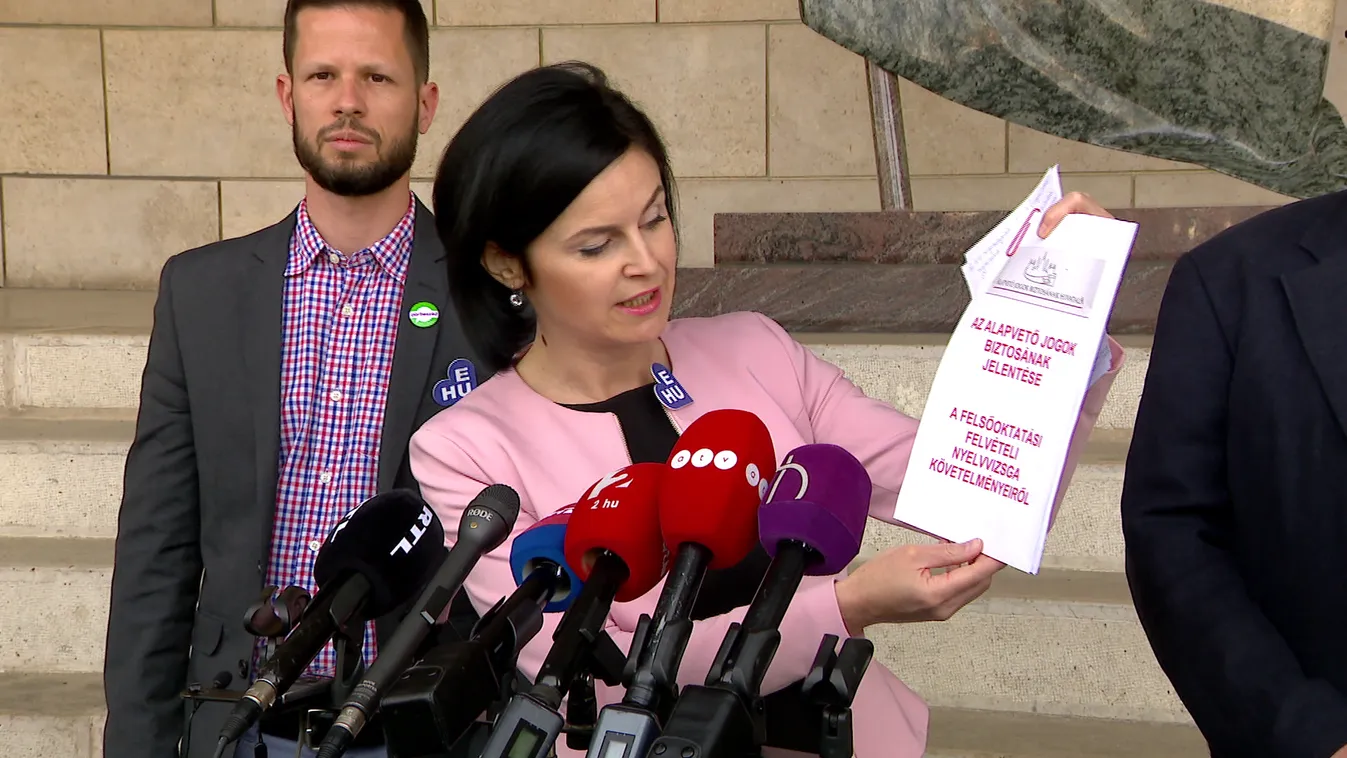 A nyelvvizsga-követelmény elhalasztásáért demonstráltak