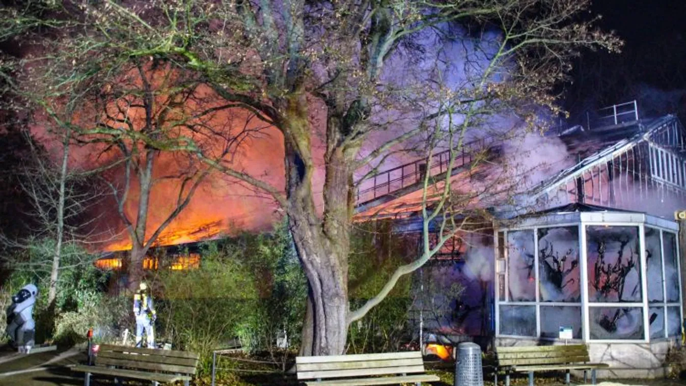 Leégett egy állatkerti majomház a németországi Krefeldben