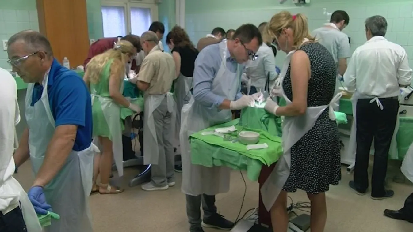Új központban képzik az orvosokat Szegeden