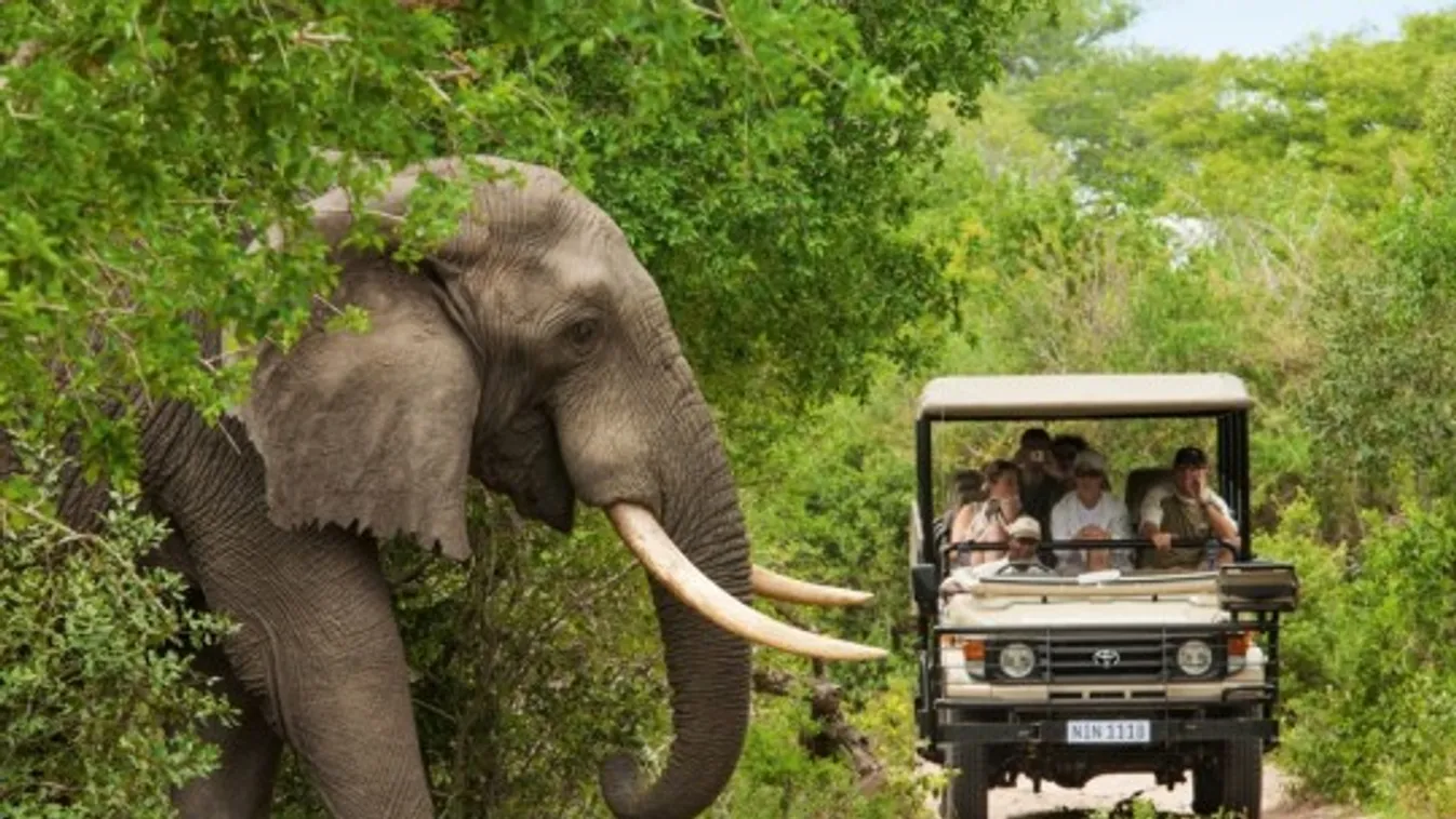 A máltaiakkal működik együtt az Afrika Központ