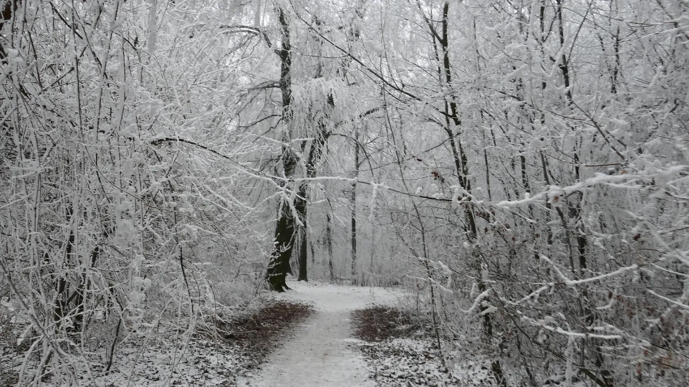 Óriási torlódás alakult ki a Normafához vezető úton