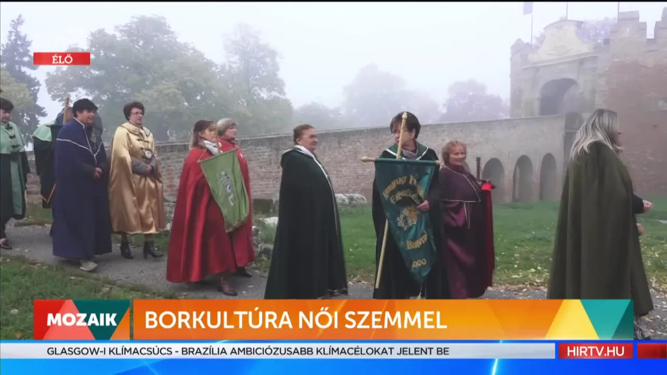 Mozaik: Borkultúra női szemmel
