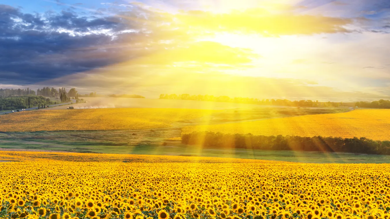 Nyárias, gomolyfelhős napok elé nézünk