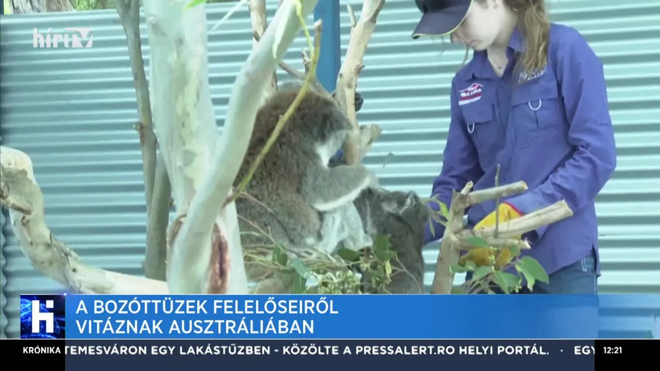 A bozóttüzek felelőseiről vitáznak Ausztráliában