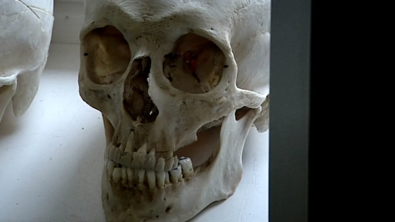 A krimisorozatok gyakori főszereplői – Riasztás