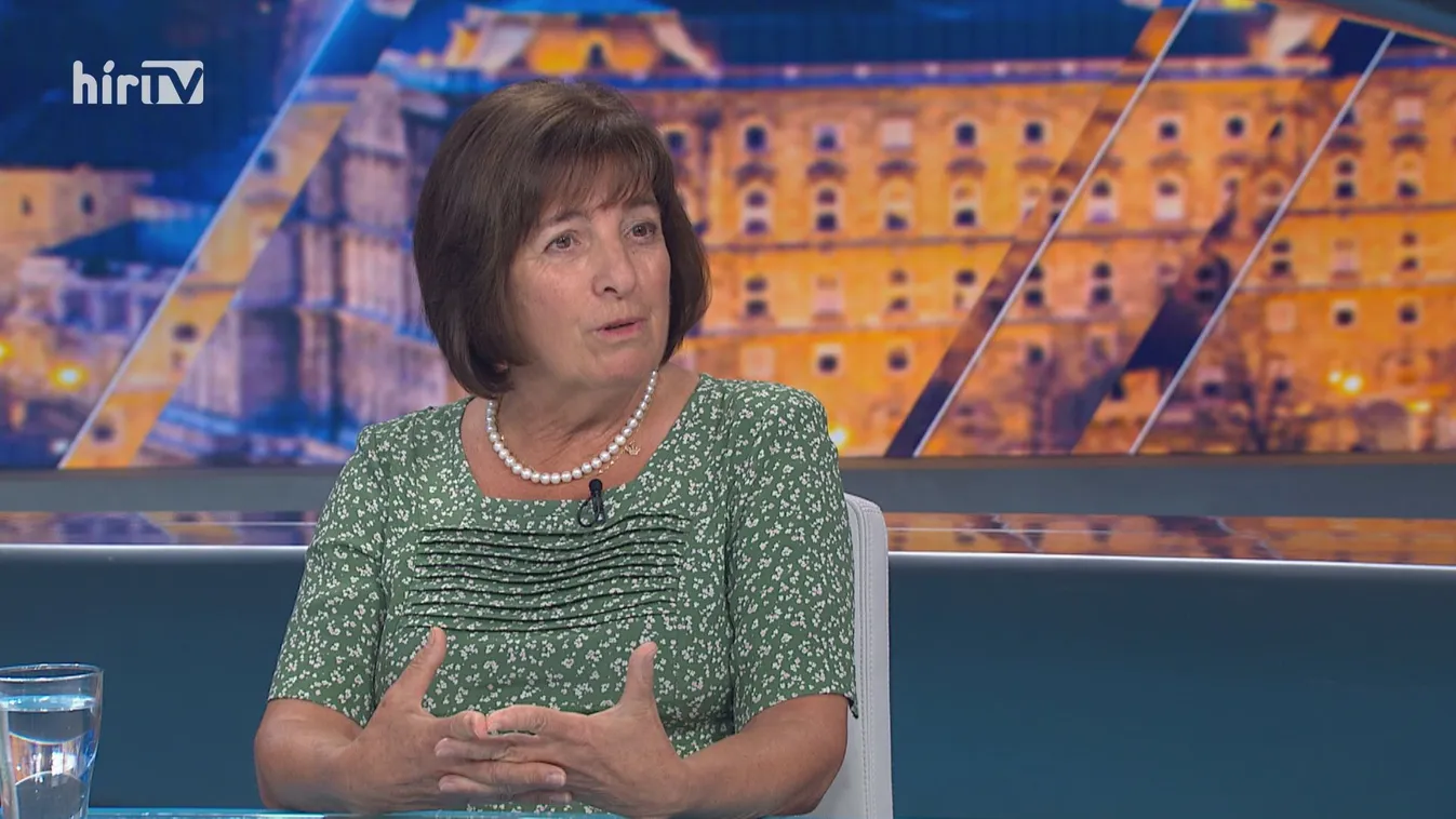 Rab Irén: Úgy érzem, hogyha Magyarországot támadják, akkor engem is támadnak