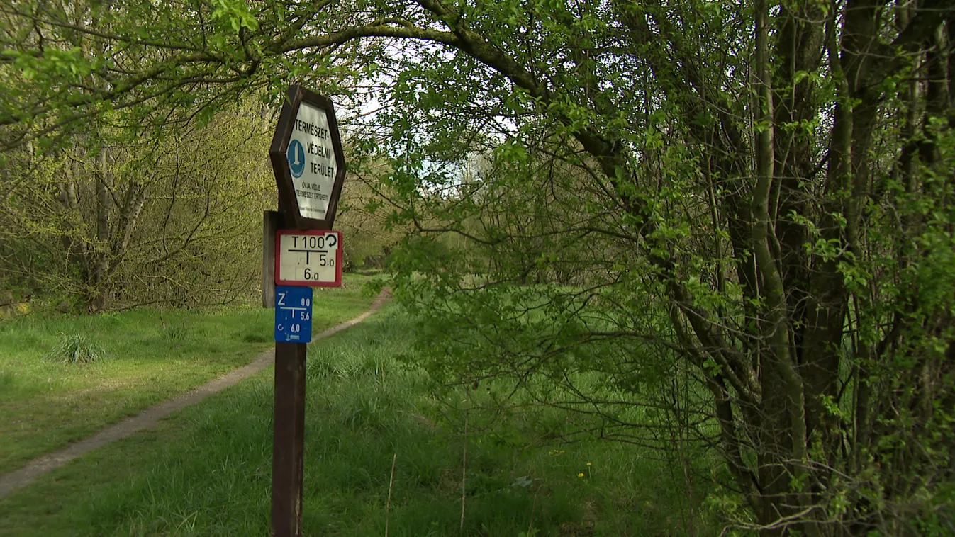 A Főváros és a helyi baloldal beépítettné az óbudai Mocsárosdűlőt