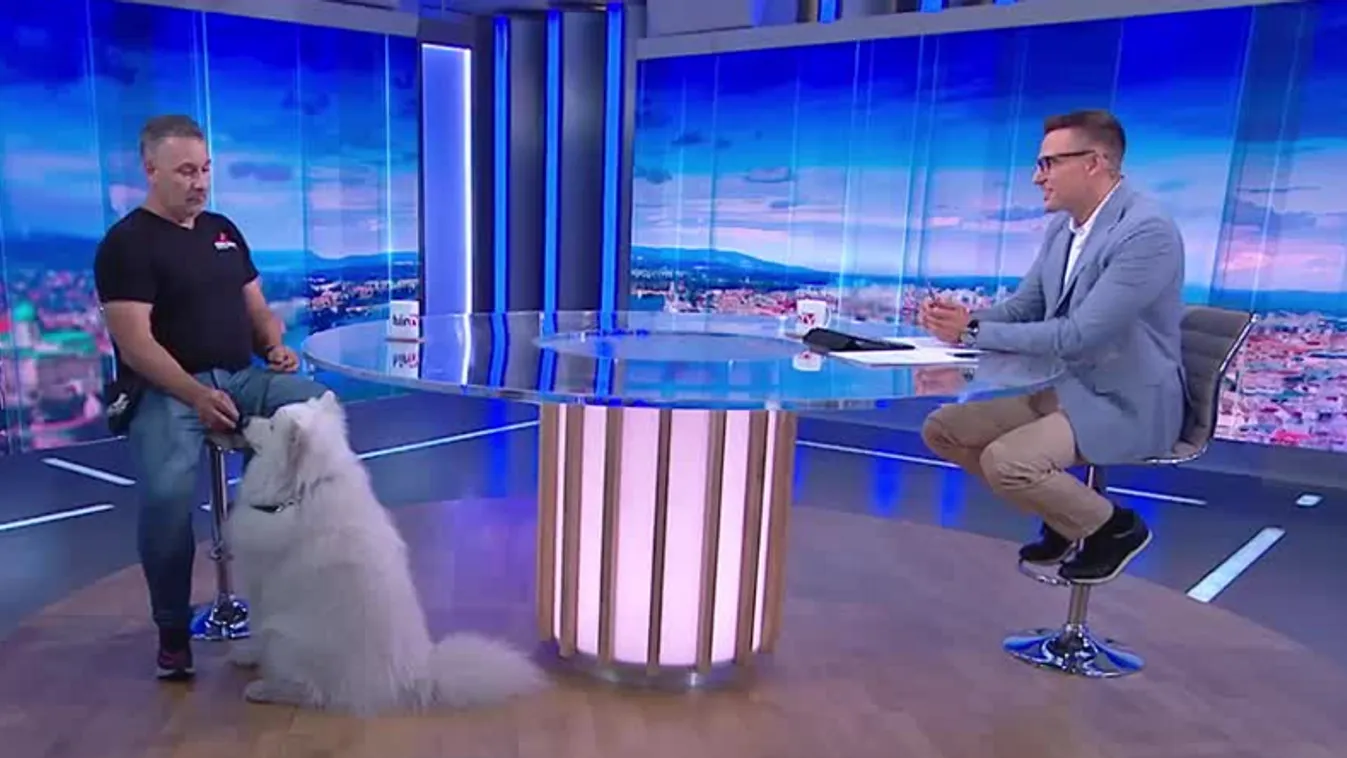 Napindító - A kutyákra is hatással van az iskolakezdés