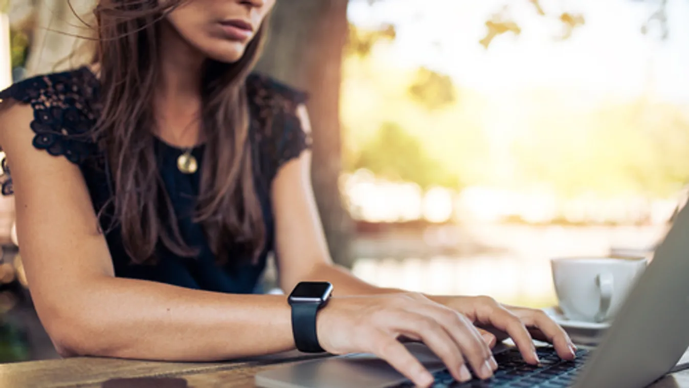 Elfogtak egy vecsési nőt, aki legalább ötven embert vert át az interneten