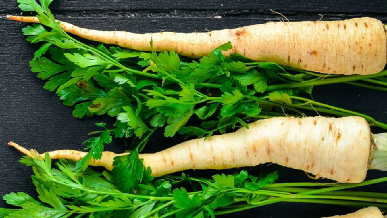 Hatalmas magyar siker: uniós oltalmat kapott a Hegykői petrezselyemgyökér