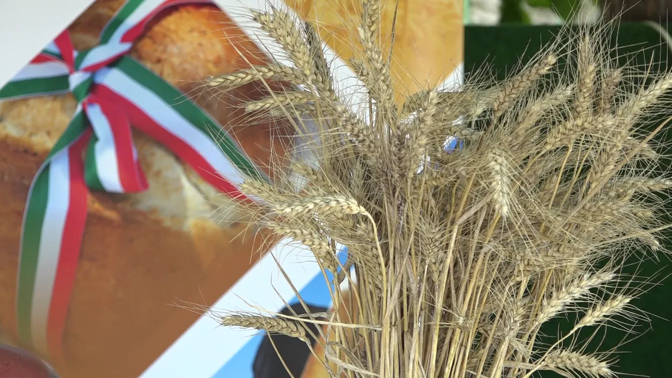 Magyarok Kenyere Program