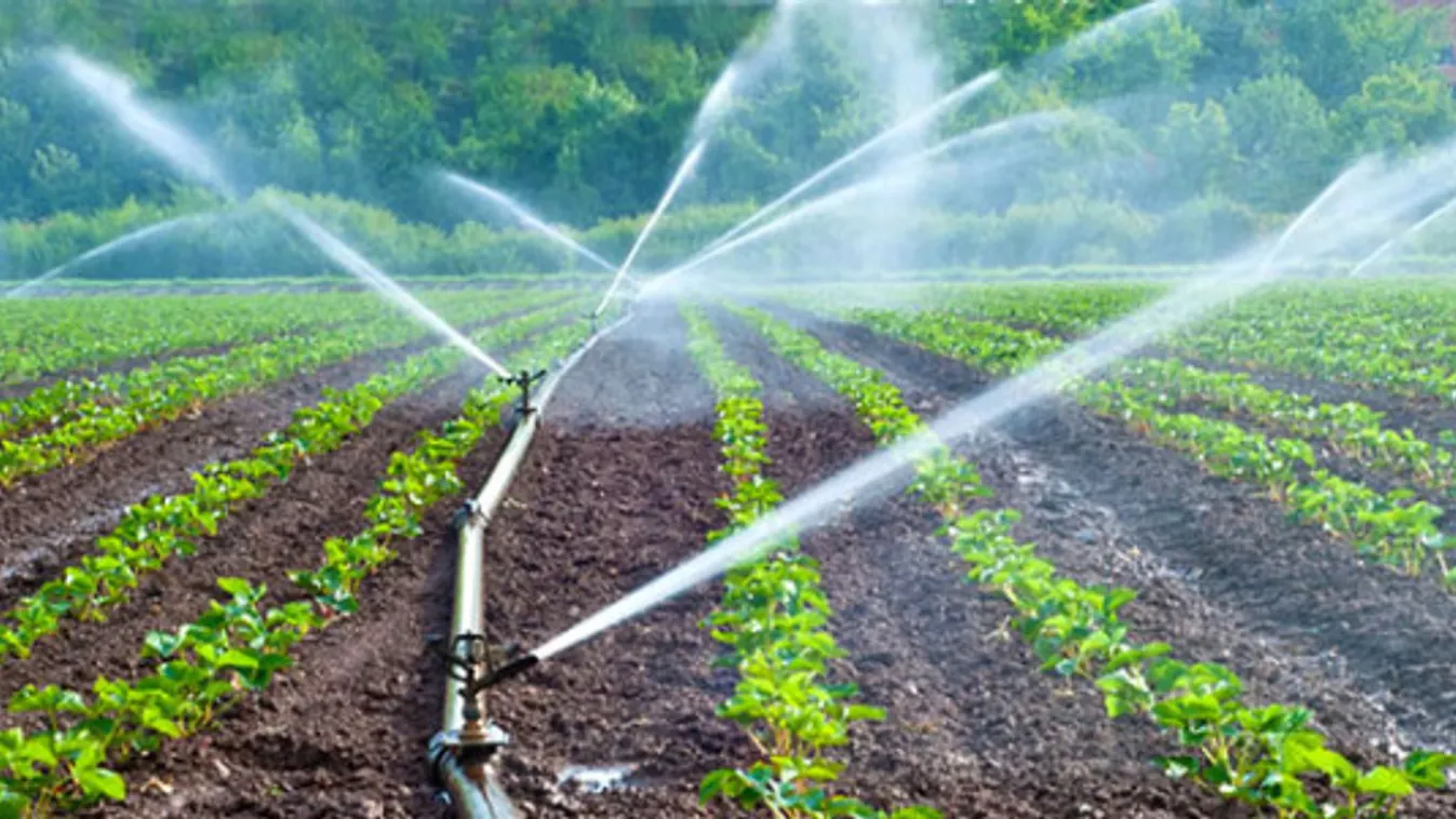 170 milliárdból fejleszthetik az öntözőrendszereket