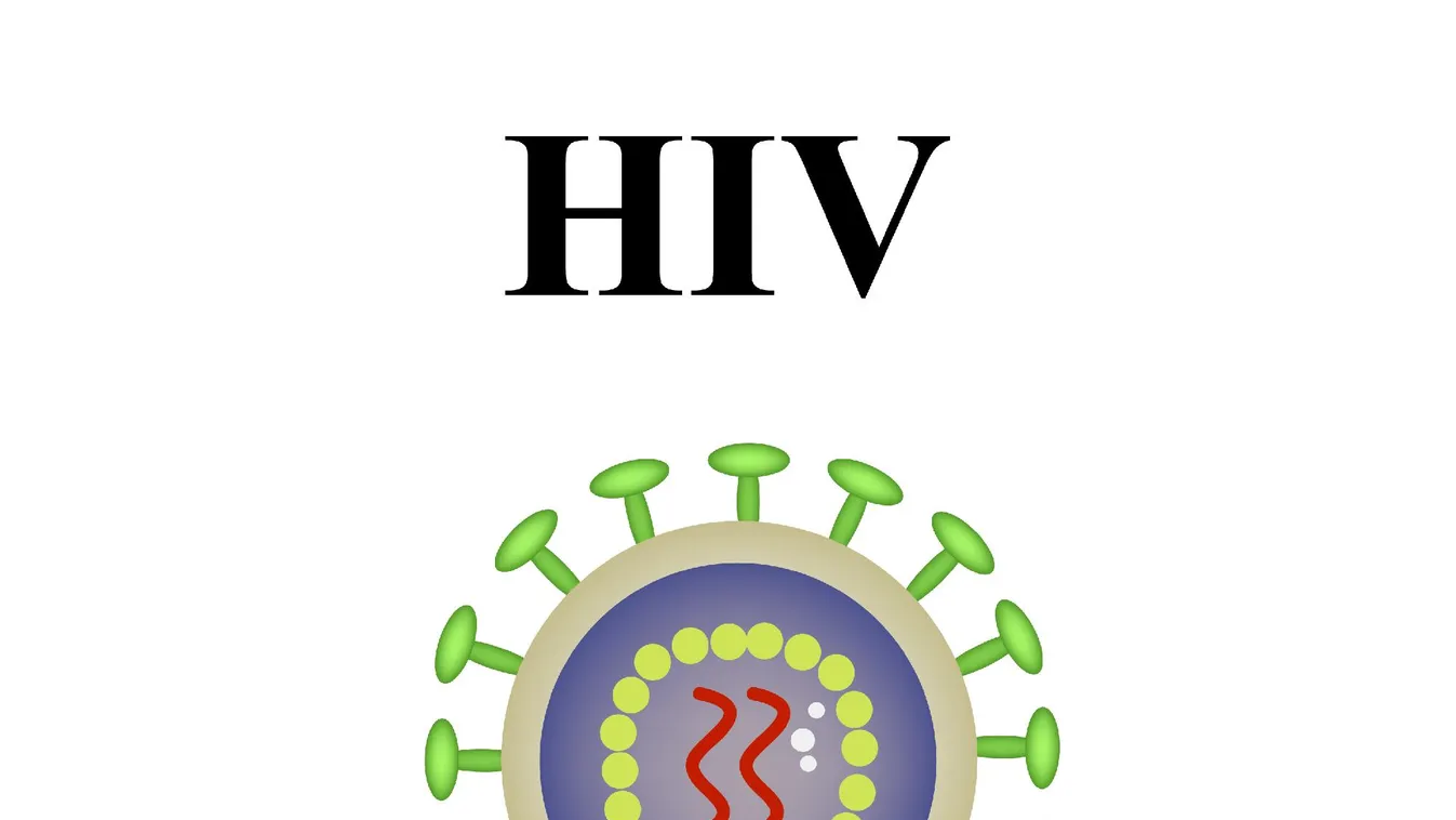 Már a második beteg gyógyult meg a HIV-fertőzésből a világon