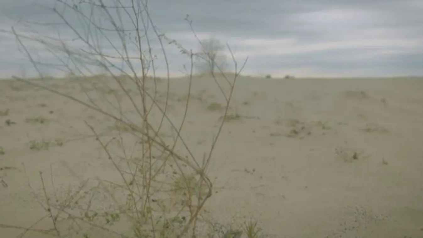 Mozaik - A magyar sivatag