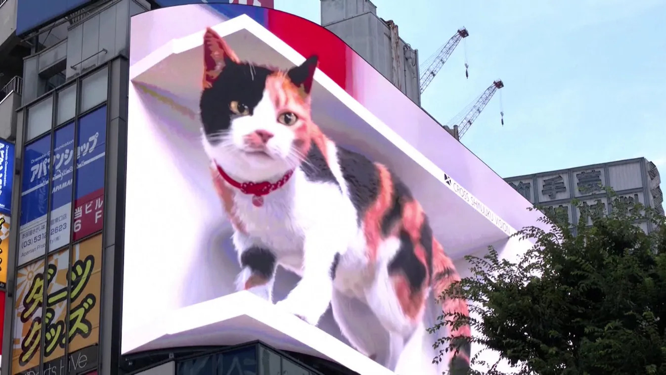 Radar - A jövő technológiája a városligeti műjégpályán