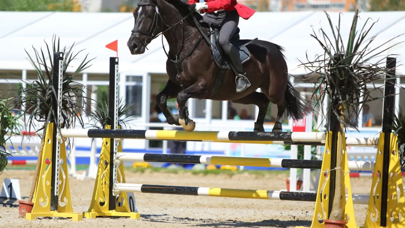 Kardos Bence a lovaglás miatt szeretett bele az öttusába