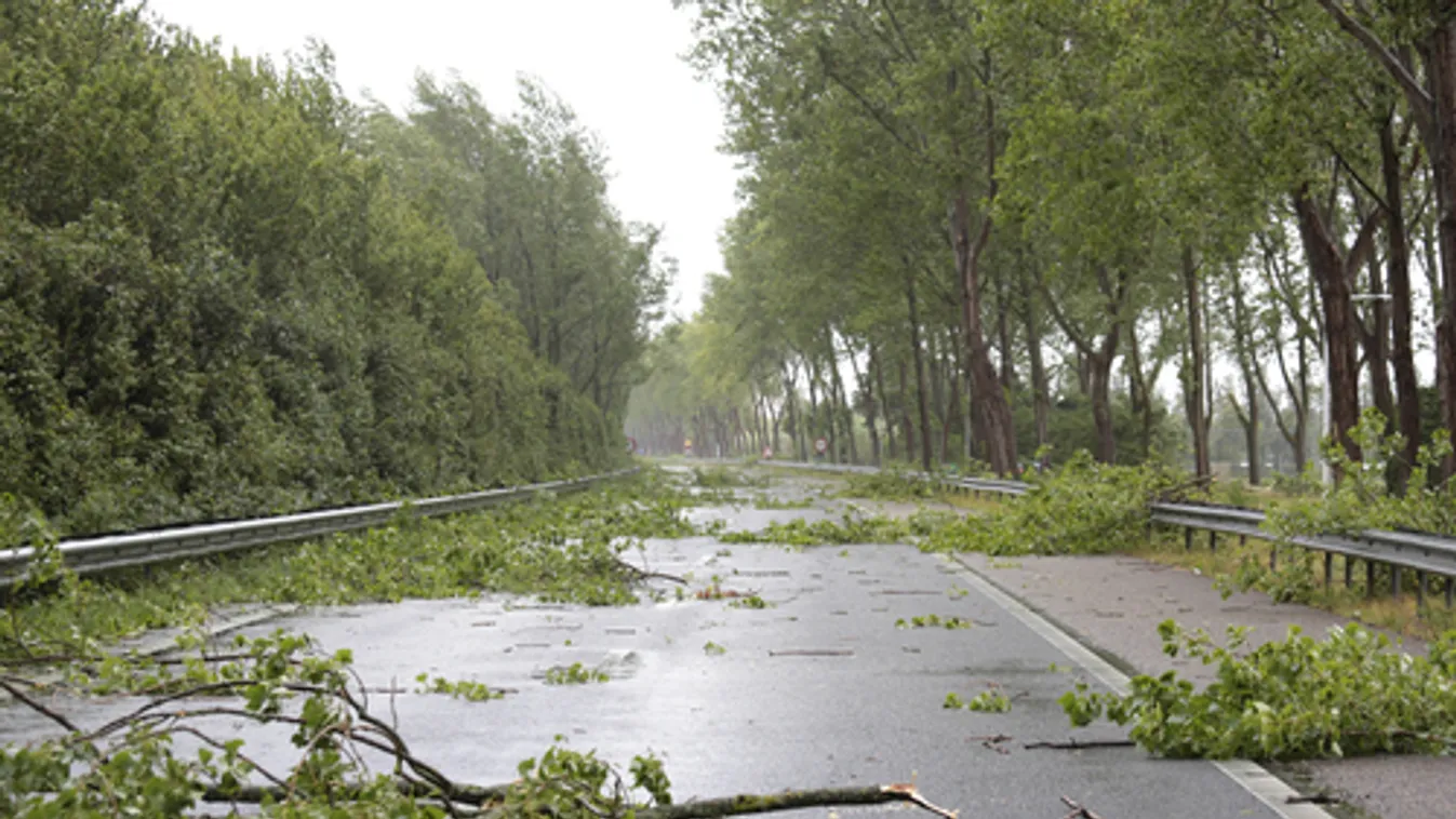 Budapest több pontján fákat csavart ki szél