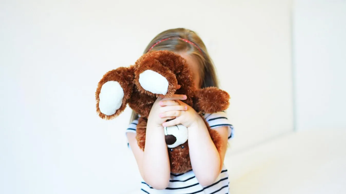 Vénember fajtalankodott egy ötéves kislánnyal