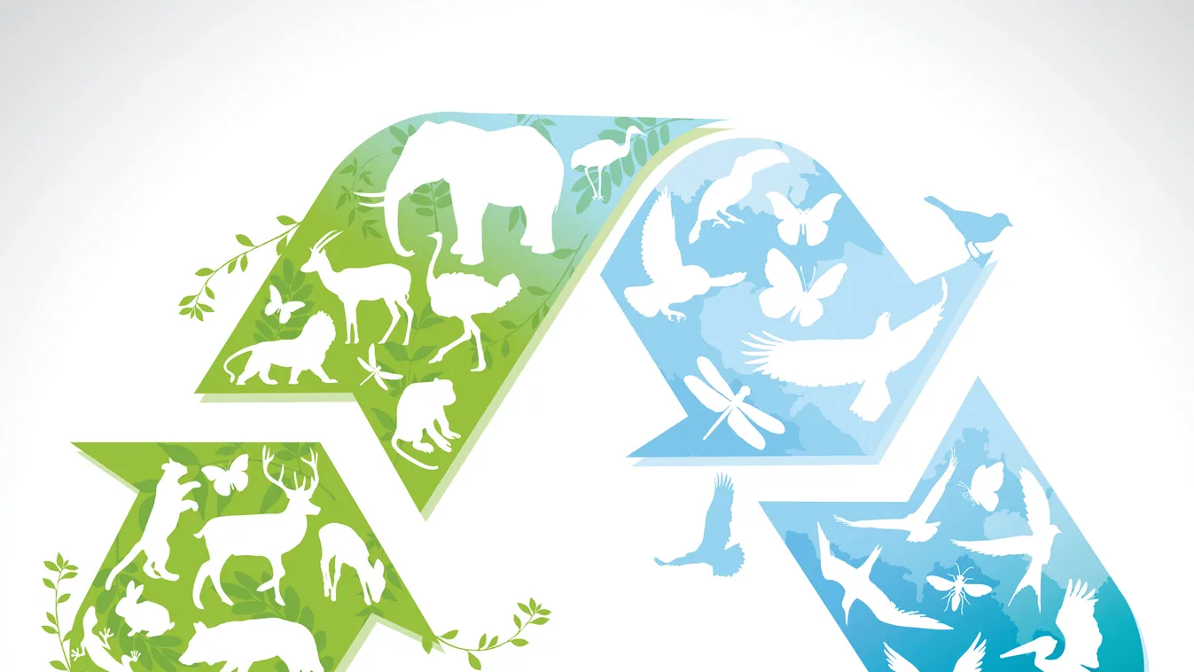 Több mint 40 tonna műanyag hulladékot gyűjtöttek a Csendes-óceánból környezetvédők