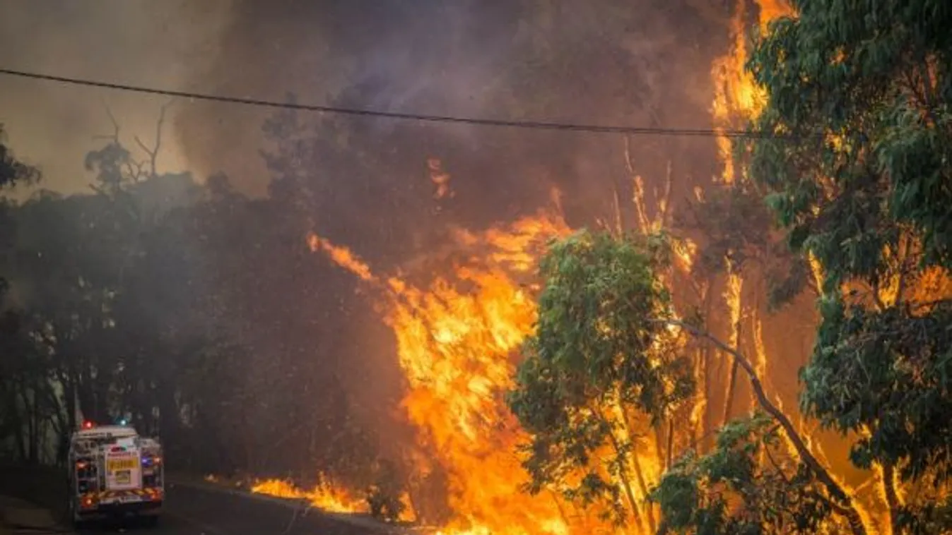 Az erdők ötödét elpusztították a bozóttüzek Ausztráliában
