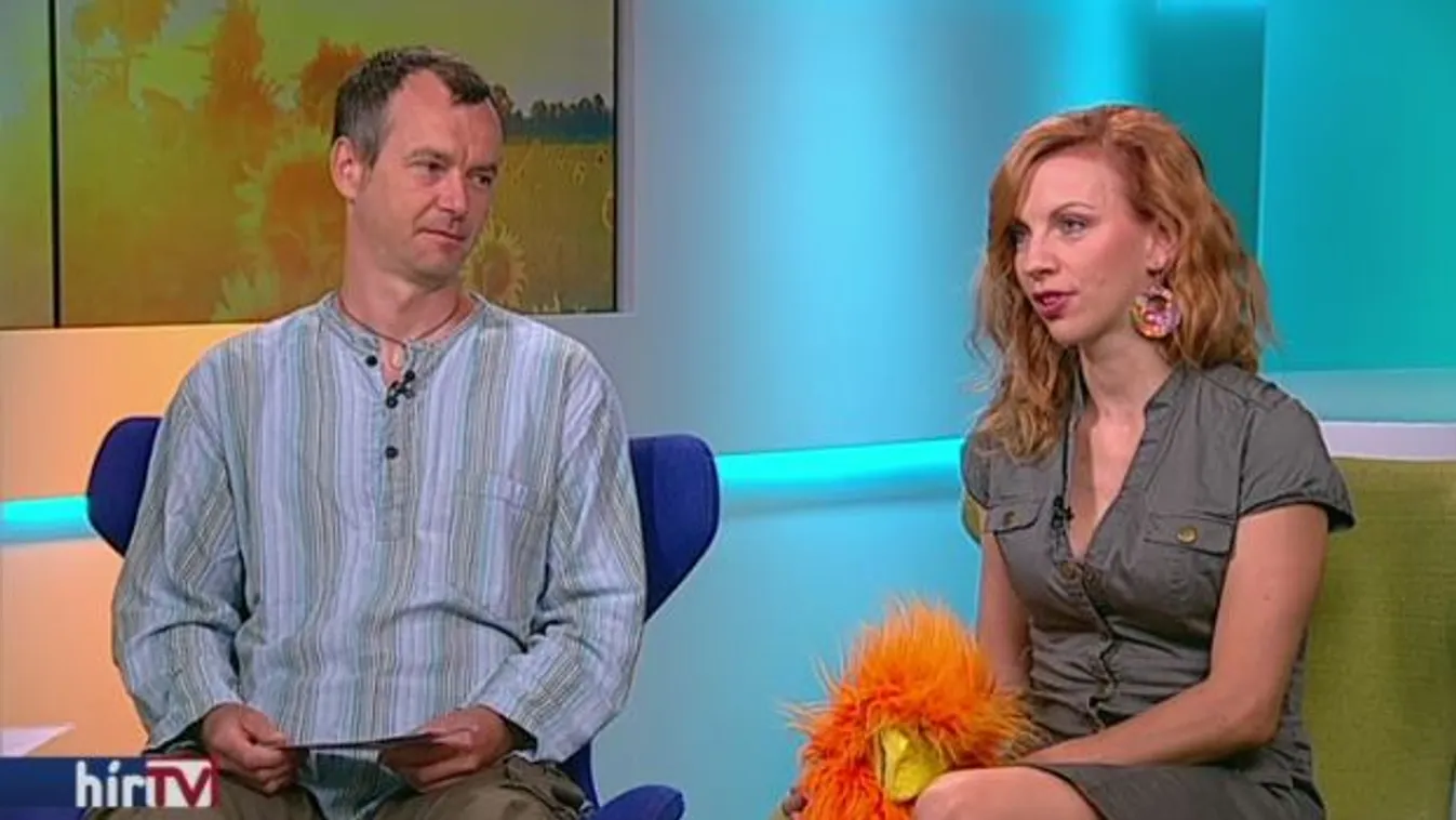 Sárkányszelídítő