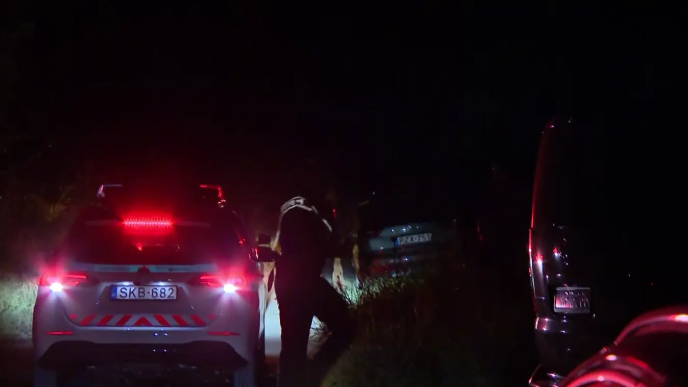 Az esztergomi gyilkos közösségi oldalán számos fajgyűlöletre utaló tartalom található