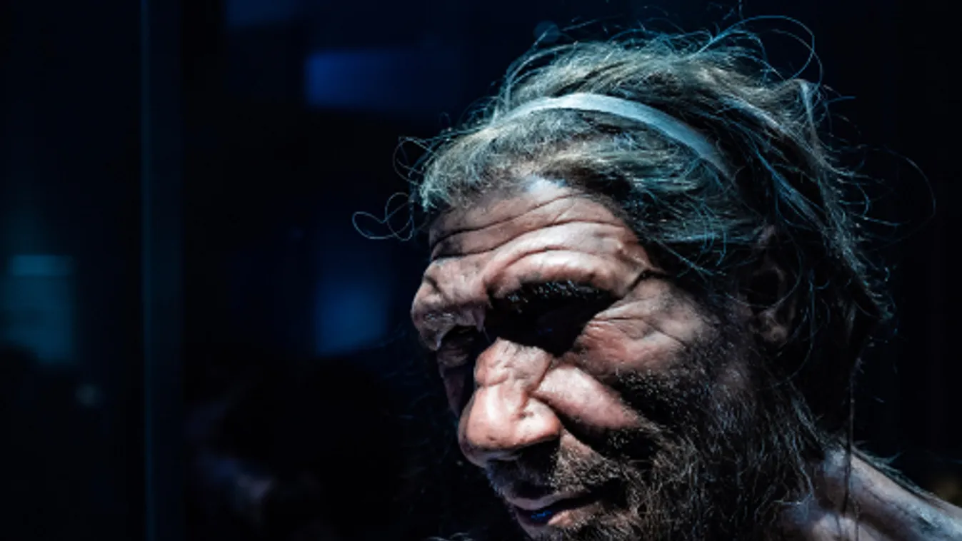 Az első modern emberek gyakrabban keveredtek a neandervölgyiekkel, mint eddig vélték