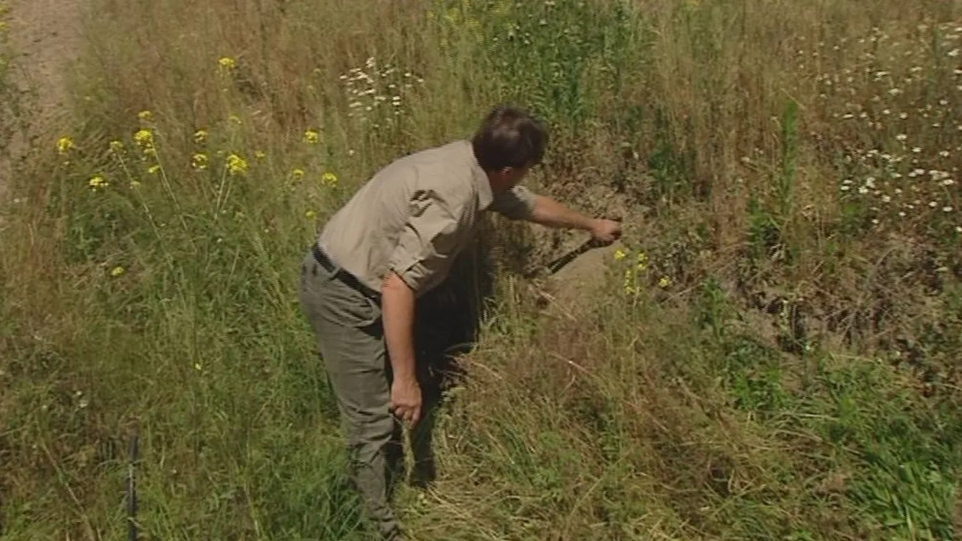 Fontosabb egy forgatás, mint a természet?