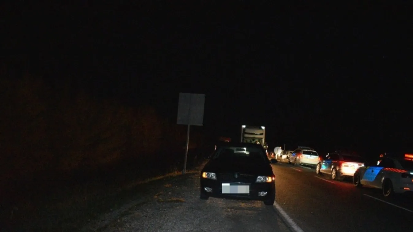 Őrizetben a német embercsempészek