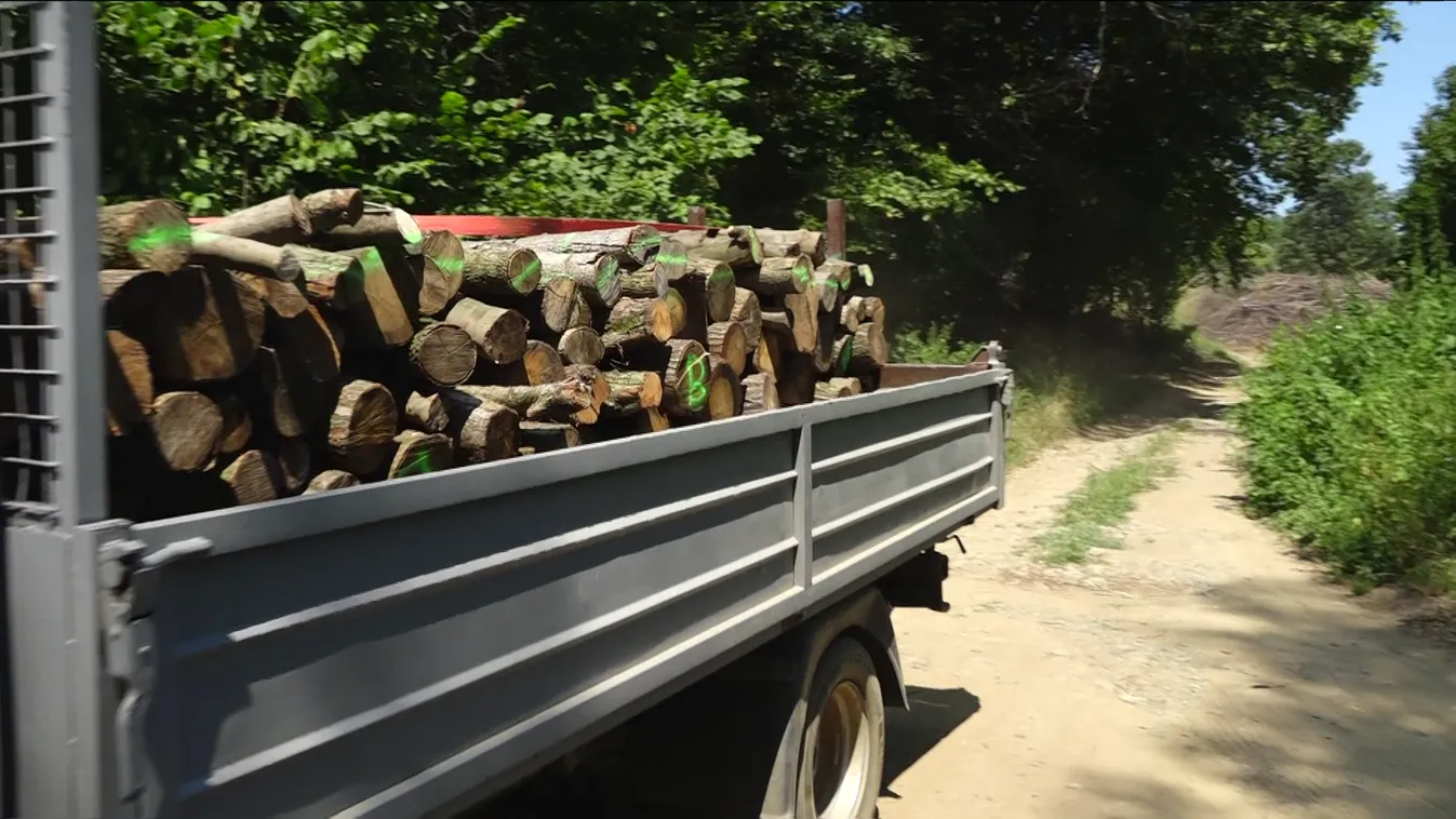 Radar: Gáz helyett fatüzelés?