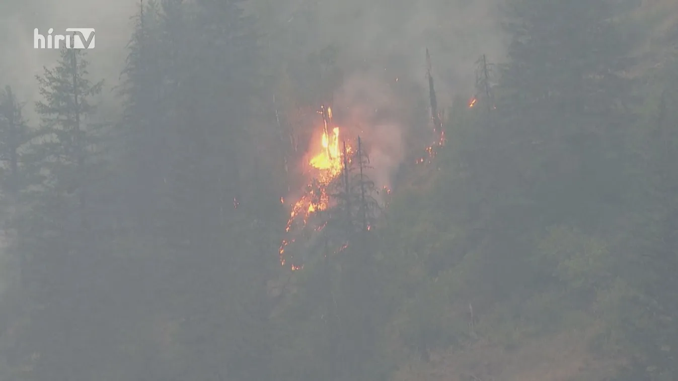 Az Egyesült Államokban és Kanadában egyaránt erdőtüzek pusztítanak