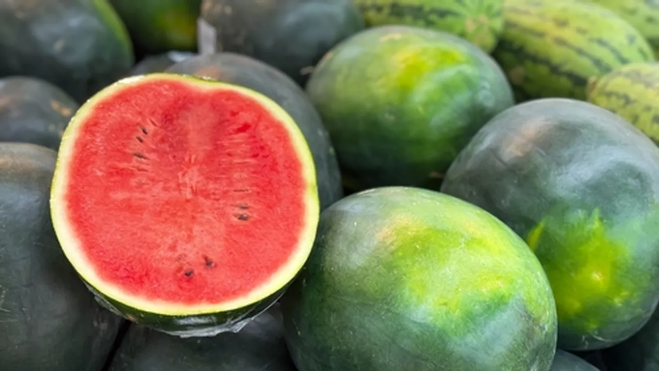 Júliusig kell várni a mézédes magyar görögdinnyére