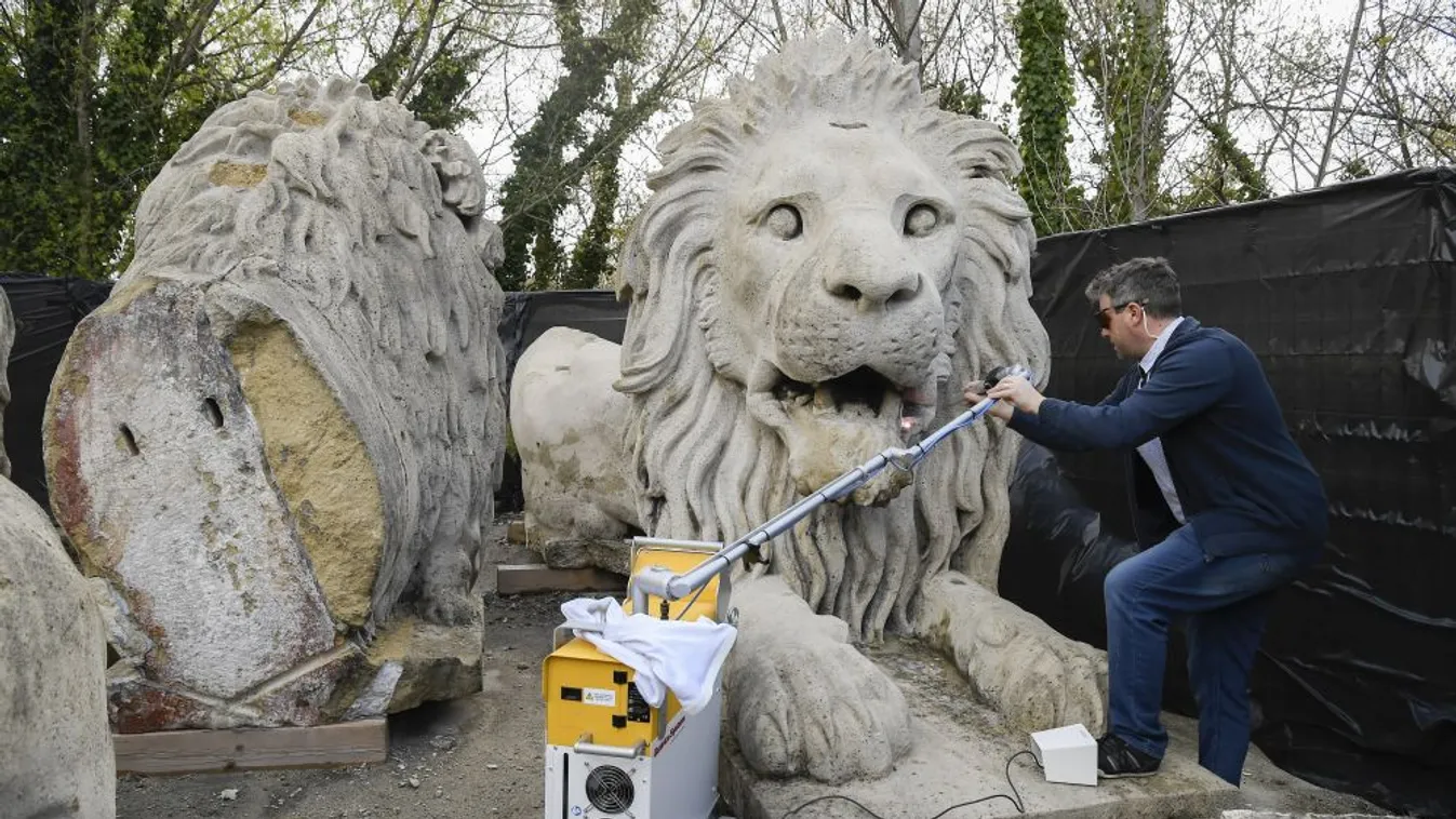 Orvosi lézerrel is tisztítják a Lánchíd budai oroszlánjait