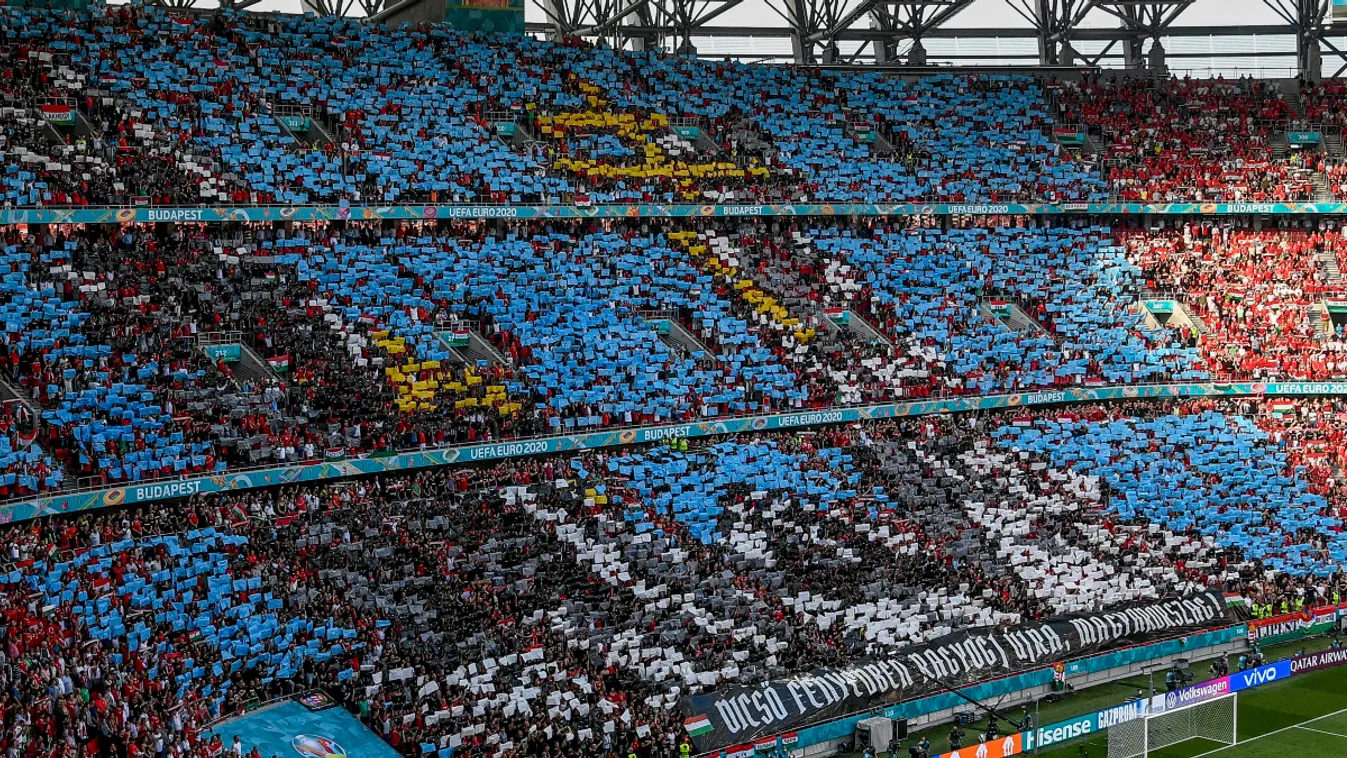 Hadházy öt nappal a magyar kiesés után elkezdett stadionozni
