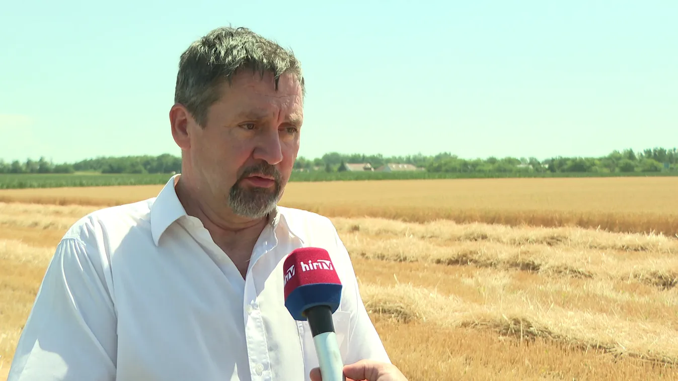 Hétfő éjfélig meghosszabbítják a legmagasabb fokú hőségriasztást