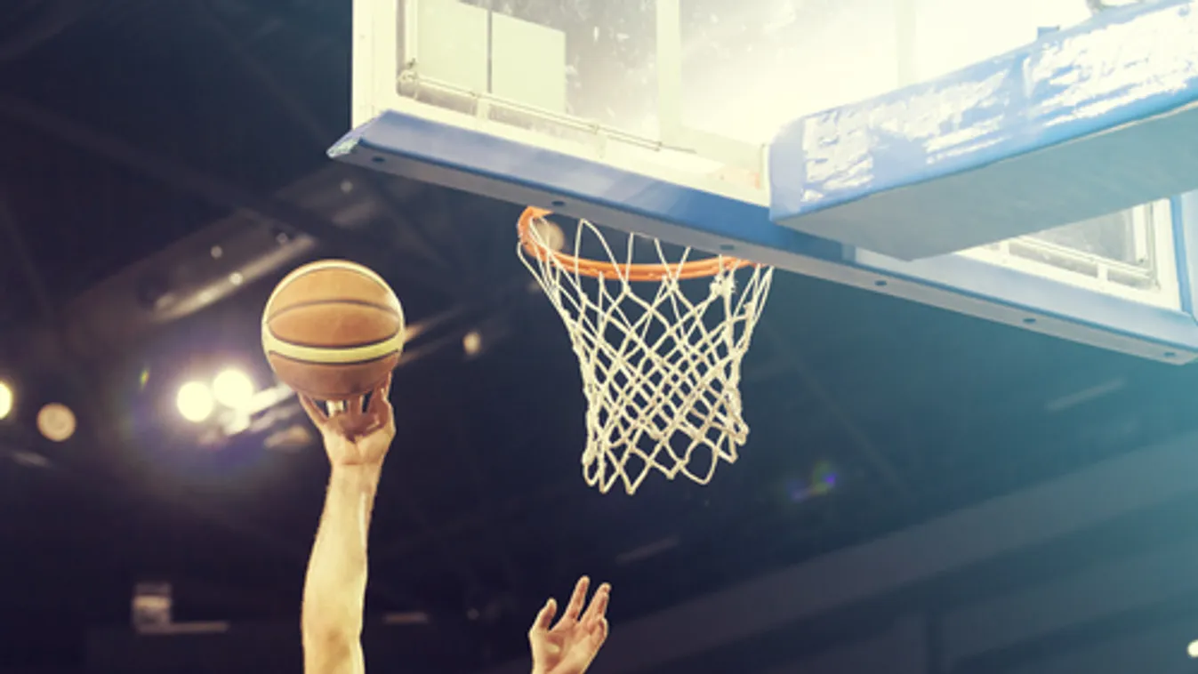 Férfi kosárlabda BL - Ismét főtáblás a Falco