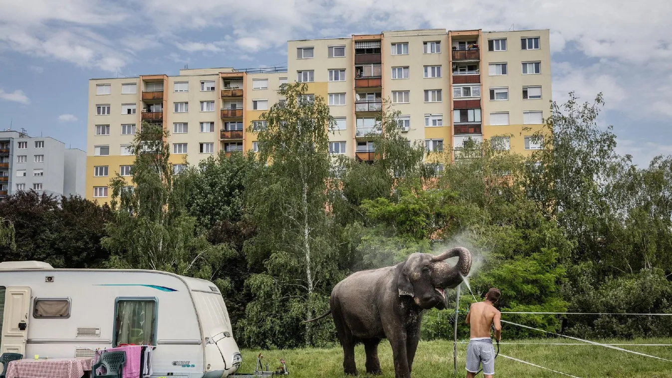 Túladnának panellakásukon a felső szinten élők