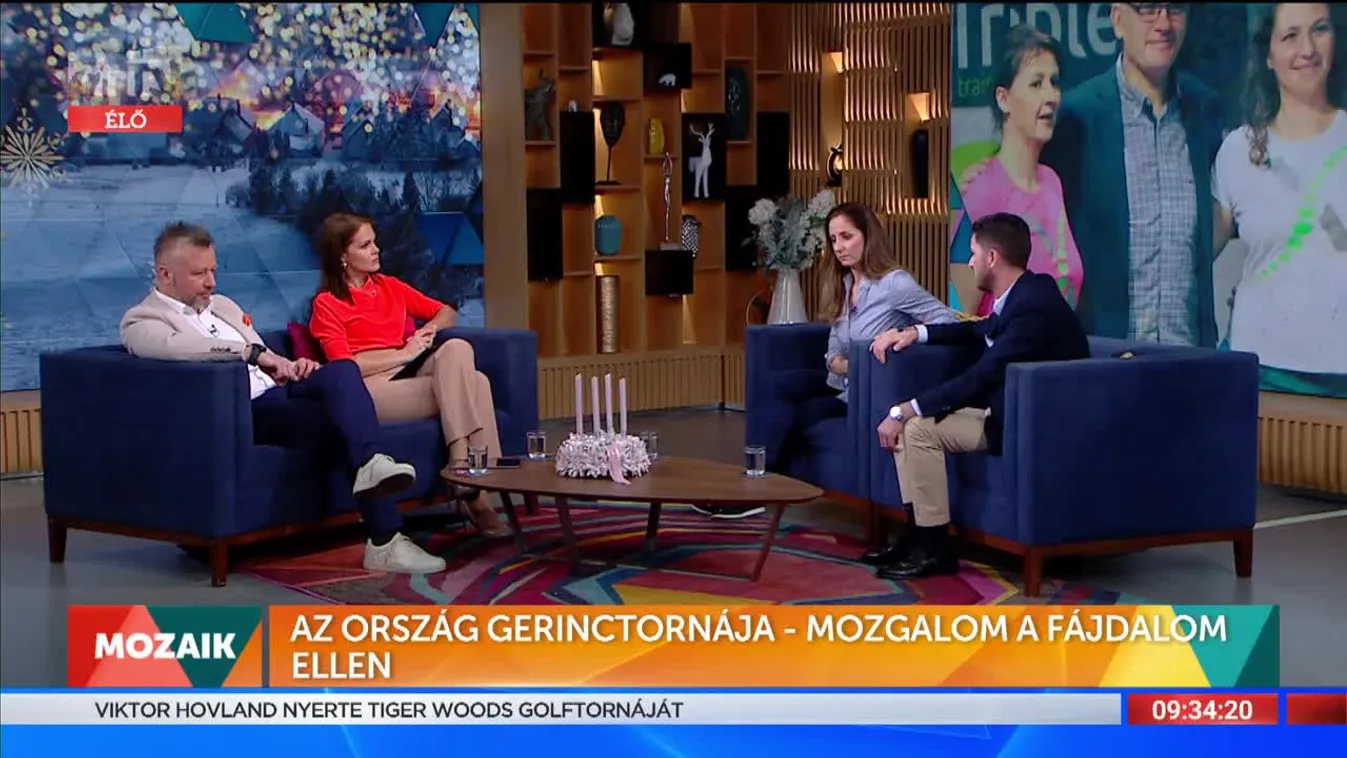 Mozaik: Az ország gerinctornája