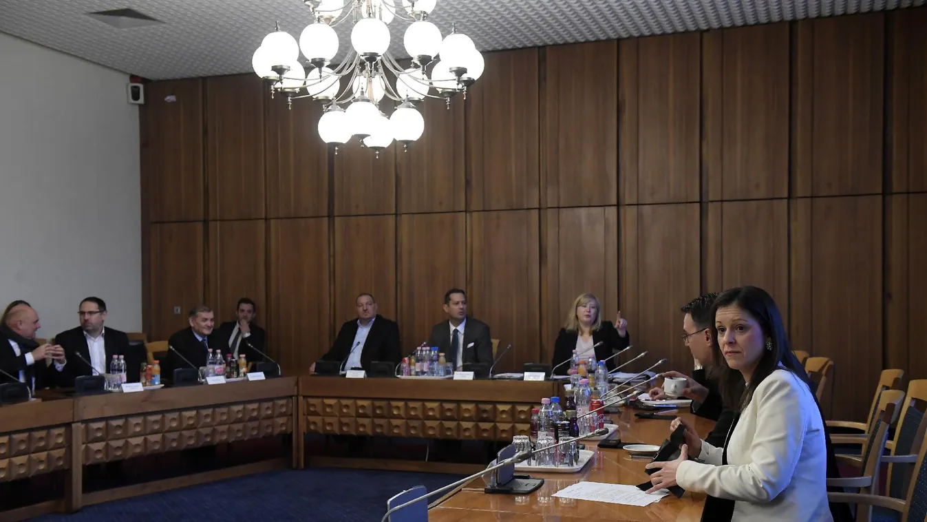 Németh Szilárd új kockázatot fedezett fel a nemzetbiztonsági bizottságban