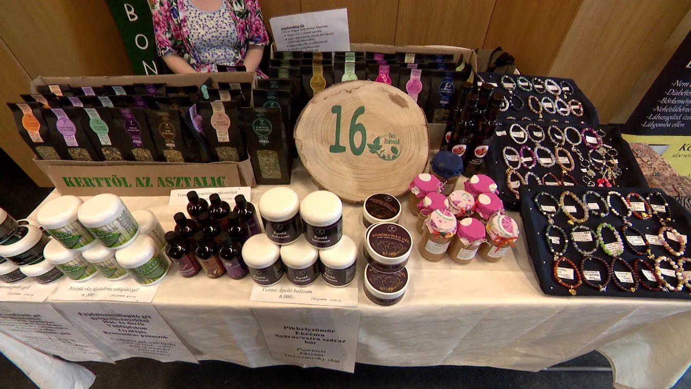 Radar – Tavaszi ökológiai zsibongás Angyalföldön