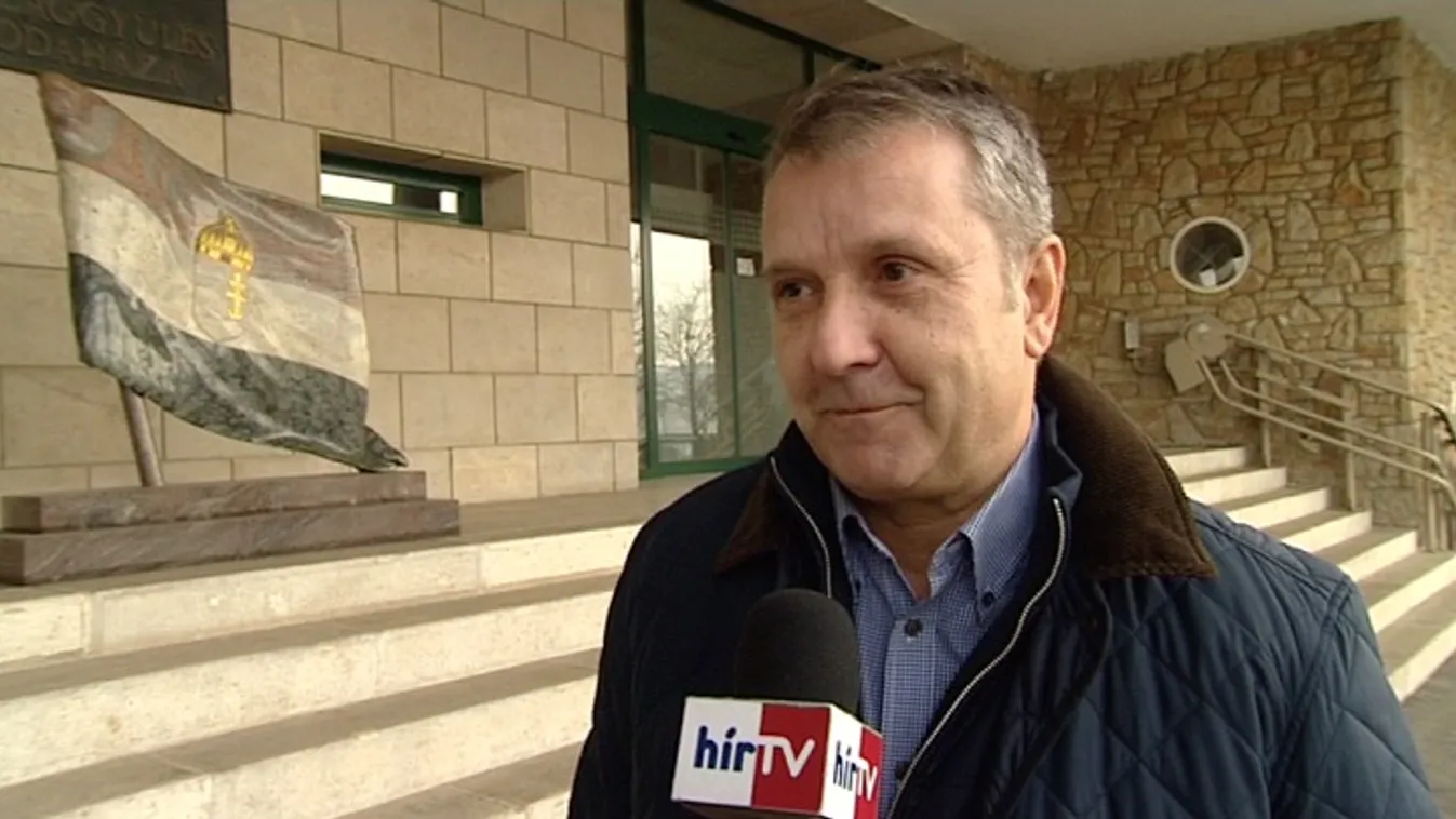 Molnár: A Fidesz nyomása miatt vették őrizetbe Czeglédyt
