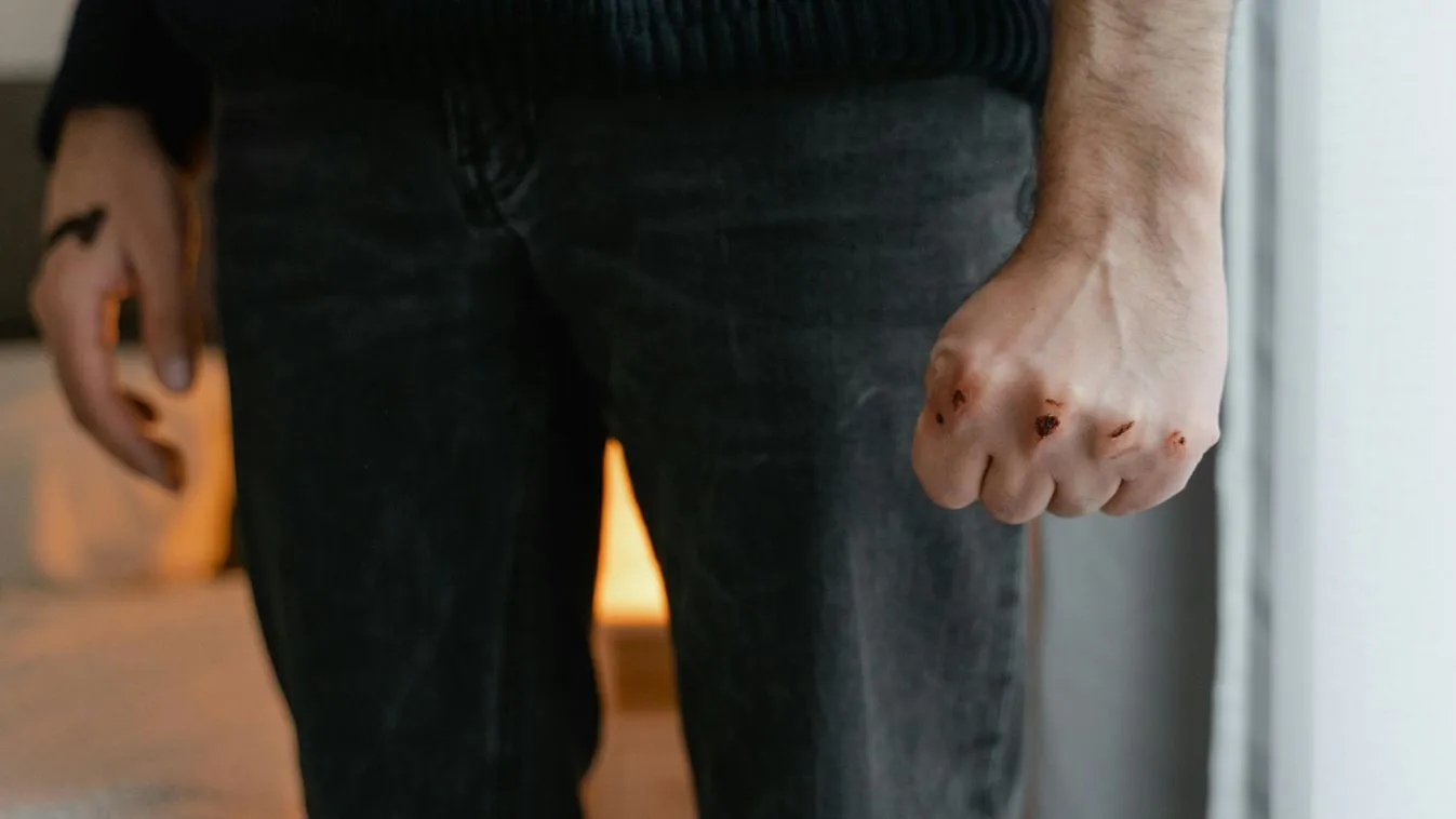 A legdurvább szexuális bűneseteket kizárólag migránsok követik el Frankfurtban