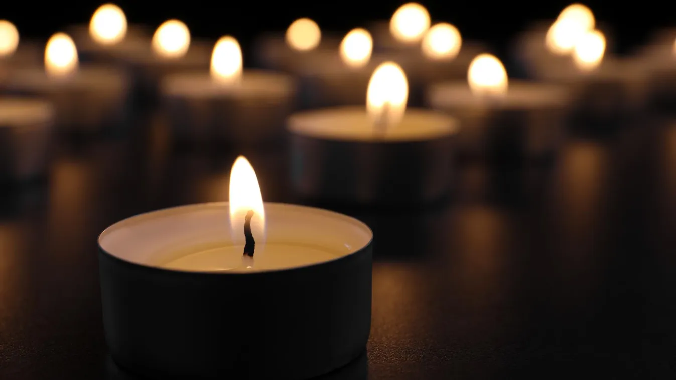 Elhunyt Sárközy Pál festőművész, a volt francia köztársasági elnök apja