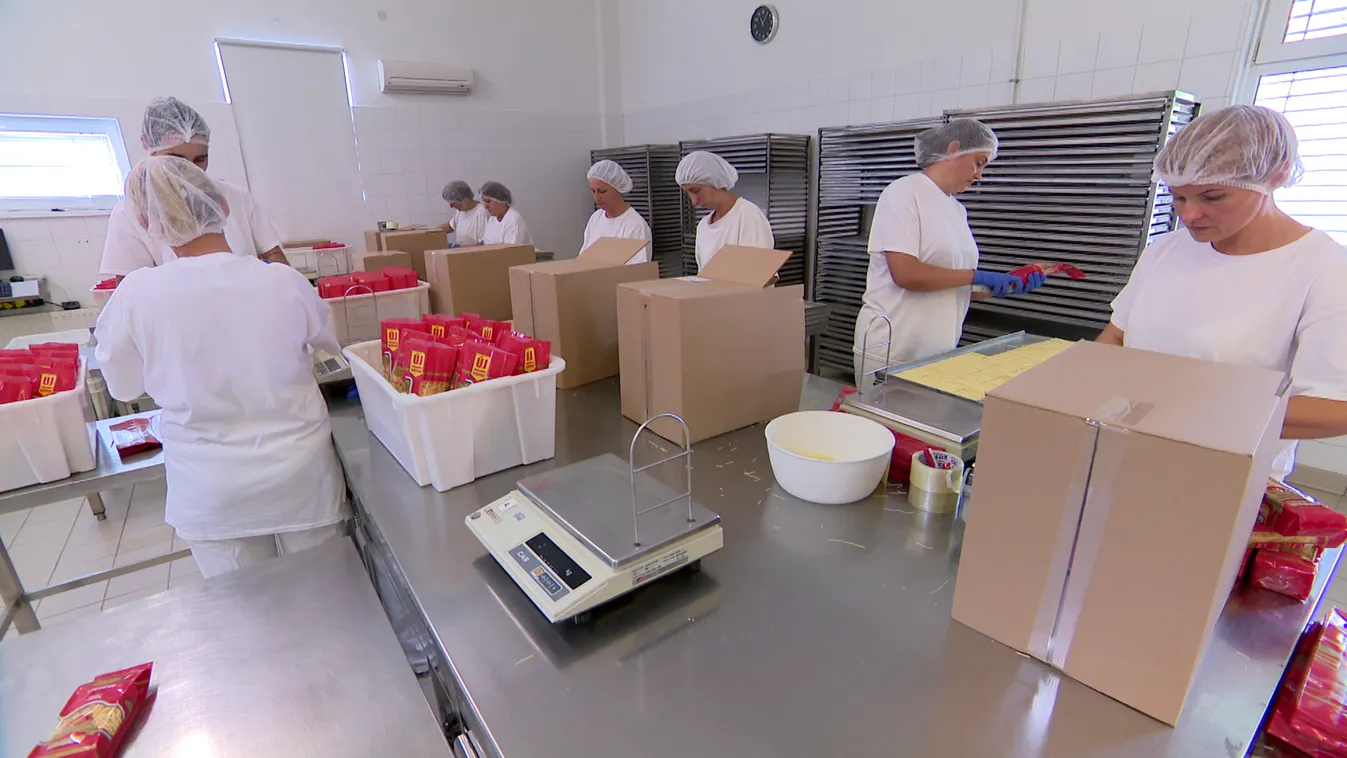 4,7 millió felett van a foglalkoztatottak száma