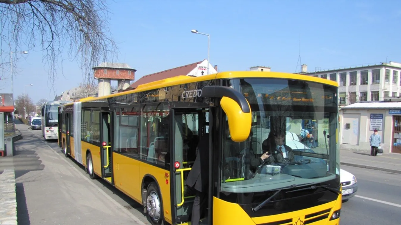 Buszsofőrt ütött, keresik a nőt